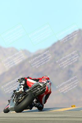 media/Jan-13-2024-SoCal Trackdays (Sat) [[9c032fe5aa]]/Turn 9 Backside (110pm)/